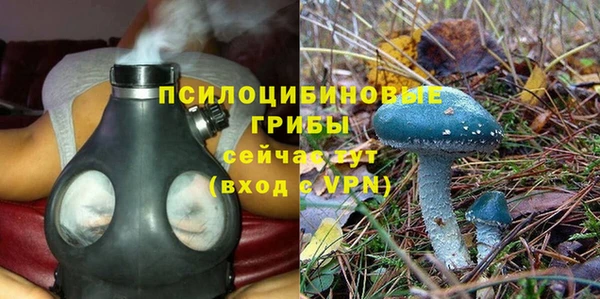 винт Верея