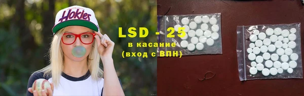 винт Верея