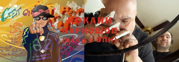 винт Верея