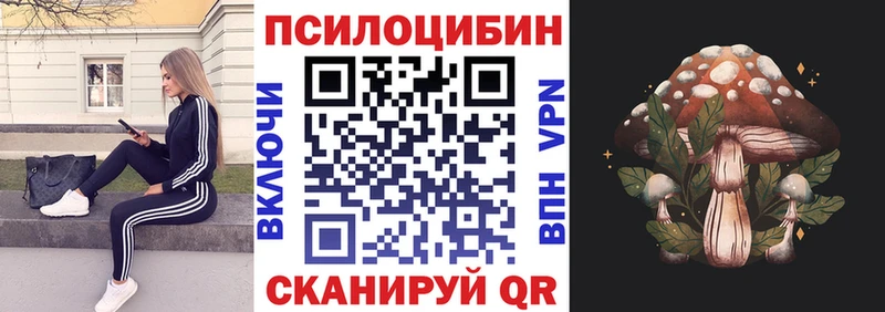 Купить где  Николаевск  Галлюциногенные грибы мухоморы 