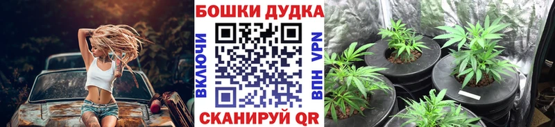 Марихуана гибрид  Купить  Николаевск 